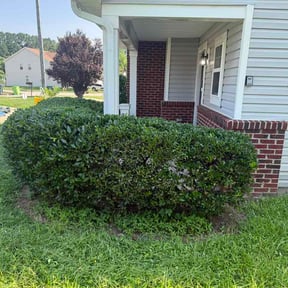 Bush Trimming by MK Lawncare LLC reviewed on July 22, 2026
