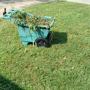 Flower Bed Weeding by 2 landscape partners reviewed on October 22, 2025