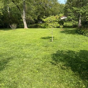 lawn care by Big Country Lawn Care, LLc reviewed on August 25, 2024