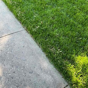 yard care by Kayalscape reviewed on March 3, 2025