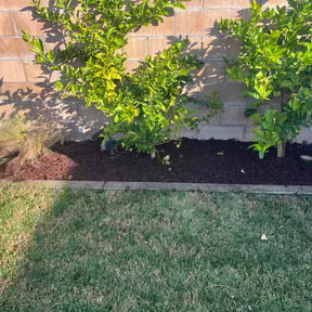 Mulching by SKLandscaping &amp; lawn care reviewed on February 18, 2026