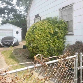 Bush Trimming by Lybrand's Lawn Maintenance reviewed on August 15, 2025