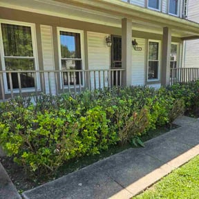 Bush Trimming by ATX Landscaping reviewed on November 20, 2025