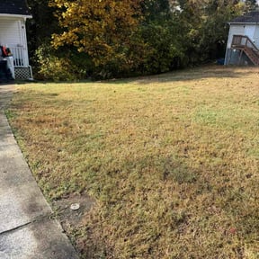 Leaf Removal by L&amp;L Landscape Contractors LLC reviewed on November 18, 2025