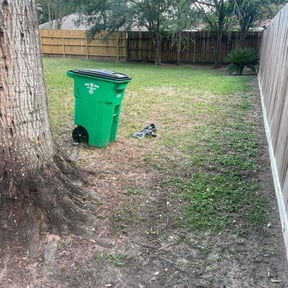 Leaf Removal by Red Rose Lawn Care reviewed on October 3, 2025