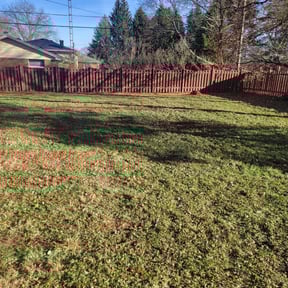 Leaf Removal by C&amp;J Landscaping reviewed on September 10, 2025