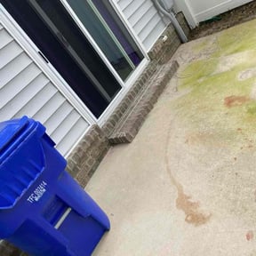 Leaf Removal by Dons Lawnscapes reviewed on September 26, 2025