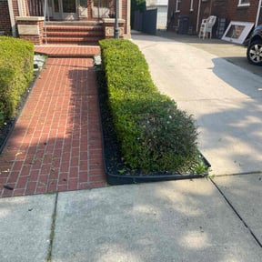 Bush Trimming by Ron&#039;s lawn care reviewed on November 18, 2025