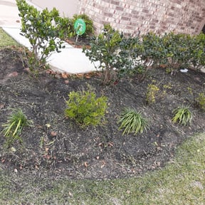 Flower Bed Weeding by Kings Komplete Lawn and Home Care Services reviewed on August 19, 2025