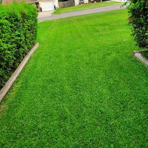 turf maintenance by Rjs Lawn Care reviewed on August 19, 2025