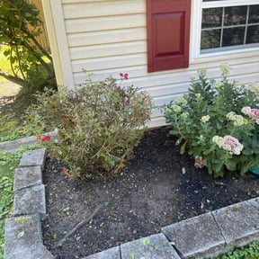 Flower Bed Weeding by Both Sides Of The Fence Lawn Care and Maintenance LLC. reviewed on November 6, 2025