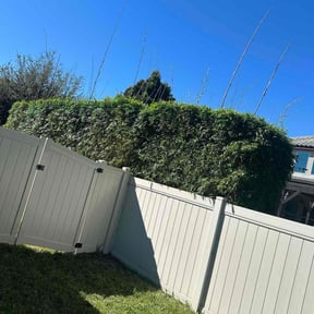 Bush Trimming by Greenway landscapers LLC reviewed on November 20, 2025