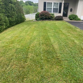 lawn care by Marvin's Services LLC reviewed on April 30, 2024