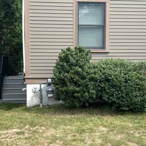 Bush Trimming by ABBA Landscaping reviewed on October 18, 2025