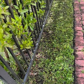 Leaf Removal by Adrian landscaping reviewed on September 12, 2026