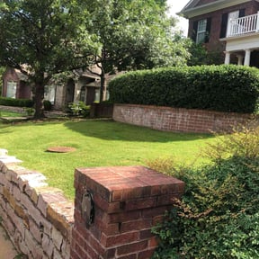 landscape maintenance by Surf N Turf LLC reviewed on August 15, 2025