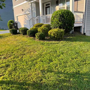 Bush Trimming by Xtreme Scapes LLC reviewed on June 17, 2026