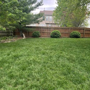 landscape maintenance by Pennington's Lawn Care reviewed on August 15, 2025