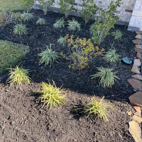 Flower Bed Weeding by CH Lawn Service reviewed on November 22, 2025