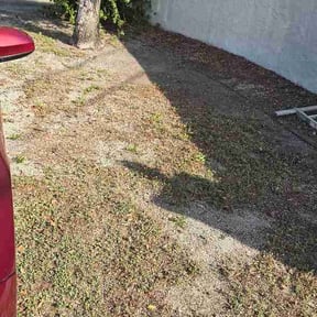 Leaf Removal by Perfect Touch reviewed on March 17, 2026