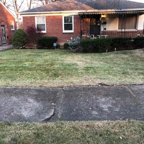 Leaf Removal by T&amp;T Kutz reviewed on September 21, 2025