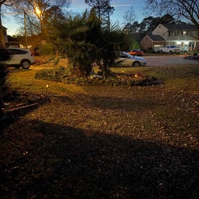 Leaf Removal by Socorro perea Santoyo reviewed on December 18, 2025