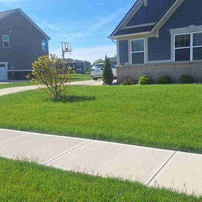 grass cutting by Tim&#039;s Lawn Service reviewed on August 15, 2025