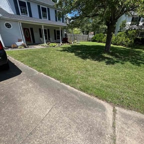 yard service by Intelligent solutions lawncare reviewed on August 18, 2025