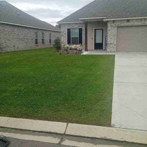 landscaping by Special Clips reviewed on November 19, 2025