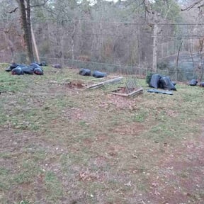 Leaf Removal by Texas inc. reviewed on March 6, 2026