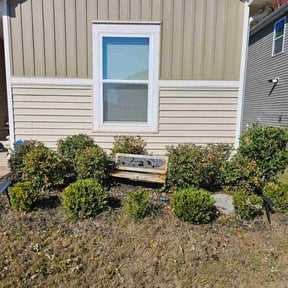 Bush Trimming by Jr's Landscape reviewed on November 24, 2025