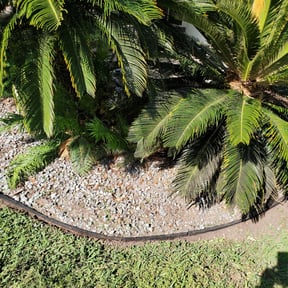 Flower Bed Weeding by Lawn Me Up Landscape reviewed on August 17, 2025