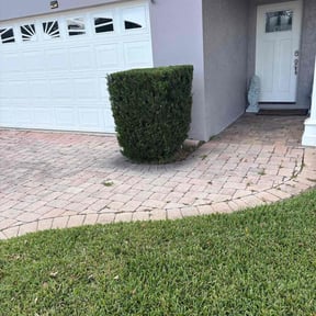 Bush Trimming by Youngstown Tree &amp; Landscaping LLC reviewed on November 18, 2025