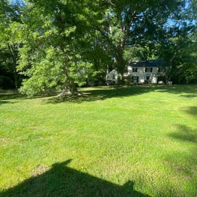 yard maintenance by Goodearth Lawn Service reviewed on August 20, 2025