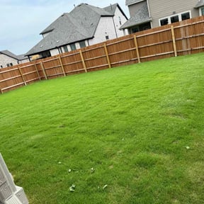 yard maintenance by gabetreeand lawn care services reviewed on August 20, 2025
