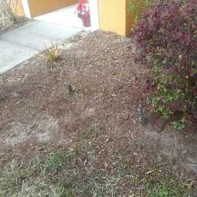 Flower Bed Weeding by Lowcountry yard maintaince reviewed on July 29, 2021