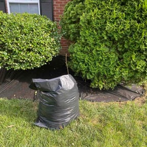 Flower Bed Weeding by Green Earth Lawn and snow LLC reviewed on June 30, 2026