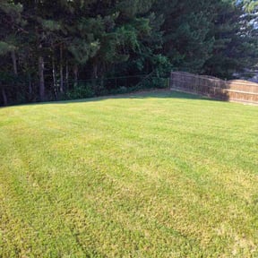 landscaping by Lazy Day Lawn Maintenance  reviewed on November 22, 2025