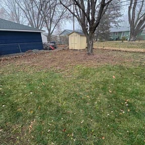 Leaf Removal by Land and Lawn Care reviewed on November 26, 2025