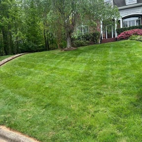 landscaping by ProLandscapes and More reviewed on November 21, 2025