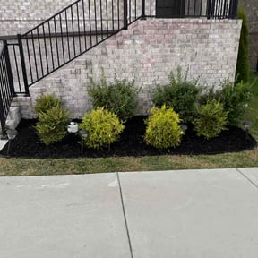 Flower Bed Weeding by Brantnew4U reviewed on September 13, 2026