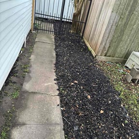 Leaf Removal by Dr.Lawn reviewed on August 17, 2026
