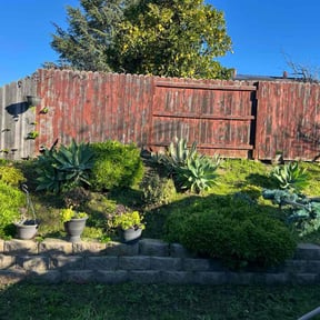 Flower Bed Weeding by d.hudson Complete Lawn Etc. reviewed on January 27, 2026