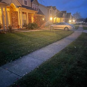 Leaf Removal by Christopher and Samantha Lawn Care reviewed on September 23, 2025