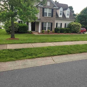 landscape maintenance by Malik landscape design reviewed on August 15, 2025
