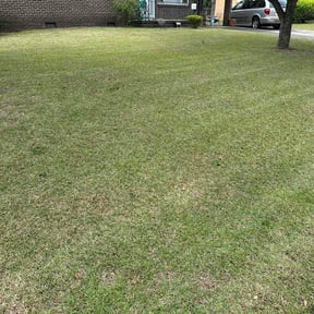 Leaf Removal by Dem Mowers reviewed on July 25, 2026