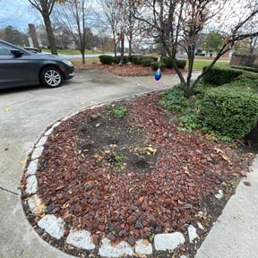 Leaf Removal by Aces property services reviewed on November 18, 2025