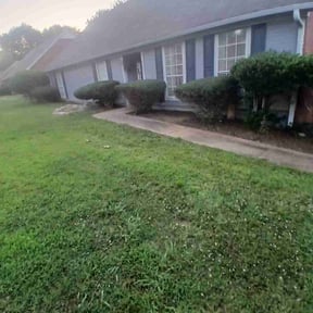 Bush Trimming by Tyler's lawn care reviewed on July 6, 2026