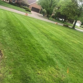 lawn service by SP Landscaping reviewed on October 28, 2023