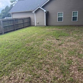 Leaf Removal by Dusk 2 Donn inc reviewed on July 1, 2026